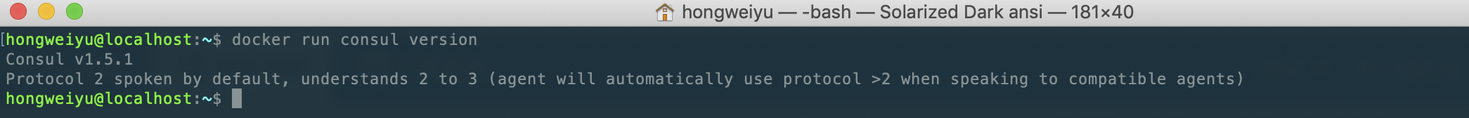 docker中查看consul版本